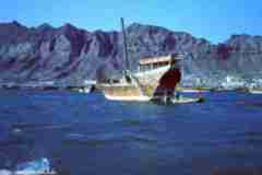 ���� ������ ��� ��� ����